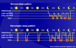 light sleep vs rem vs deep sleep